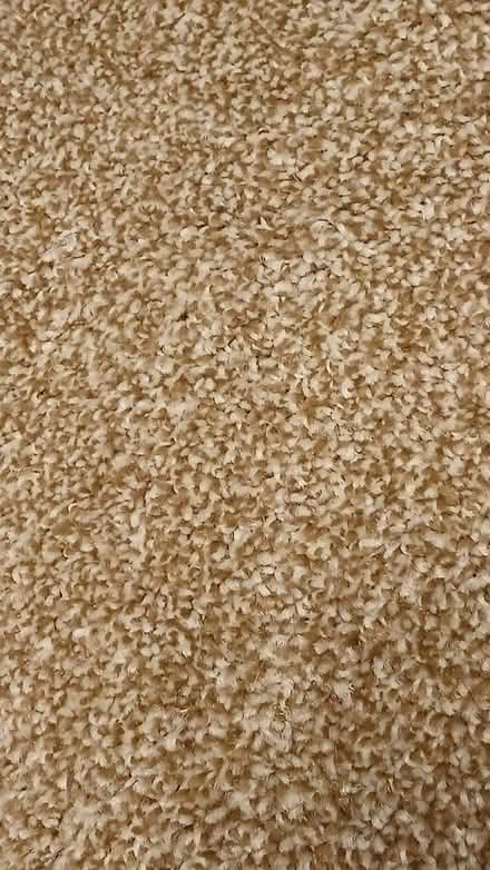 Photo of free Brand new carpet offcut (Hallaze PL26) #1