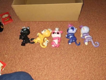Photo of free Fingerlings (Morda, SY10) #1