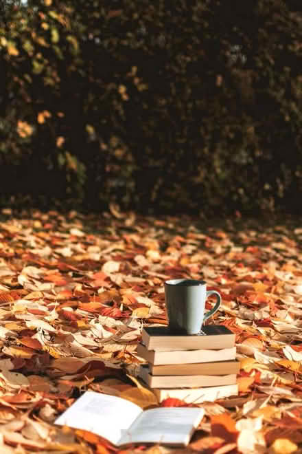 Photo of free Books on offer - NOVELS digest :) (Gilmerton EH17) #2