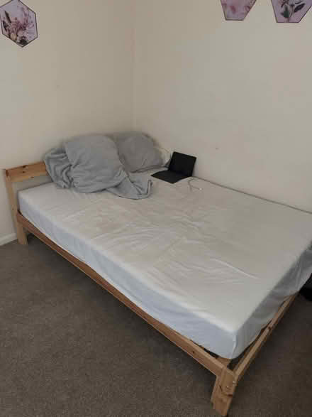 Photo of free Bed without mattress (Hertford SG14) #1