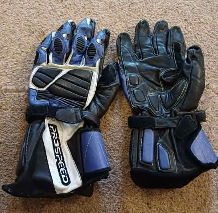 Photo of free Gloves (Southport PR9) #2