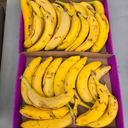 Photo of free Bananas (94041) #2