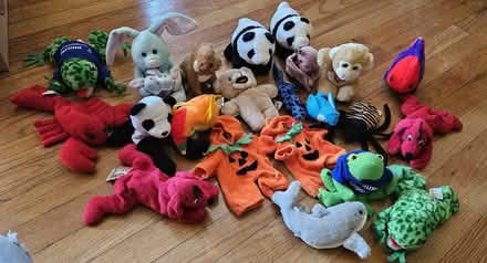 Photo of free Beanies babies (Montrose, ny 10548) #1