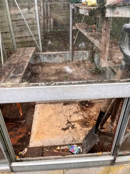 Photo of free Greenhouse (Wymondley Park SG4) #2