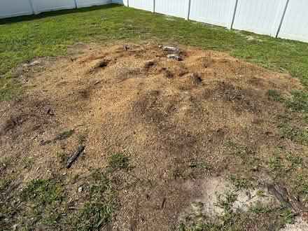 Photo of free Stump grindings (mulch) (Kissimmee, FL) #2
