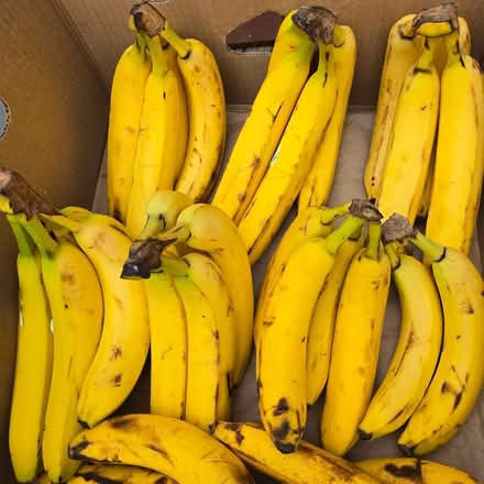 Photo of free Bananas (94041) #1