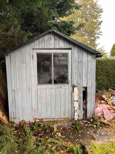 Photo of free Shed (Wymondley Park SG4) #1