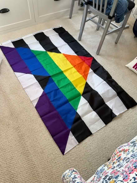 Photo of free Ally Flag (Near 11 and Woodward) #1