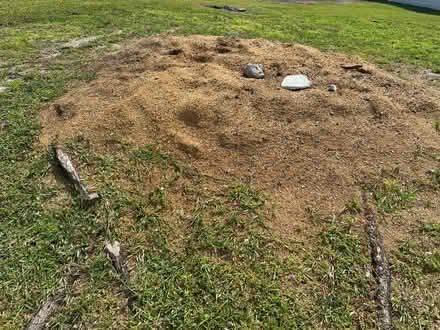 Photo of free Stump grindings (mulch) (Kissimmee, FL) #1