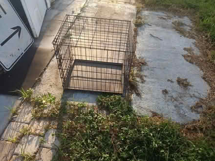 Photo of free small animal crate (Largo near Ulmerton & Starkey) #1