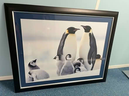 Photo of free Large penguin picture (Trowbridge BA14) #1