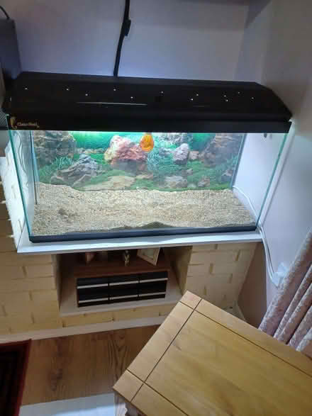 Photo of free 4 foot fish tank (Sewerby YO16) #1
