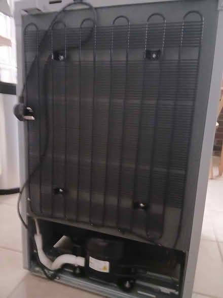 Photo of free Freezer (CT19) #2