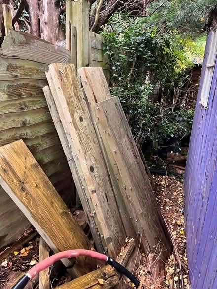 Photo of free Wood (Wymondley Park SG4) #1