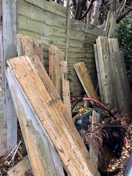 Photo of free Wood (Wymondley Park SG4) #2