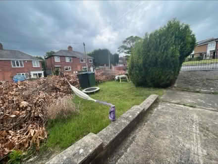 Photo of free dead dry branches (Rowley Regis) #3