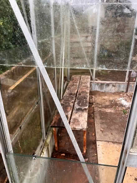 Photo of free Greenhouse (Wymondley Park SG4) #4