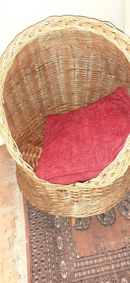 Photo of free Basket (Kennington OX1) #1