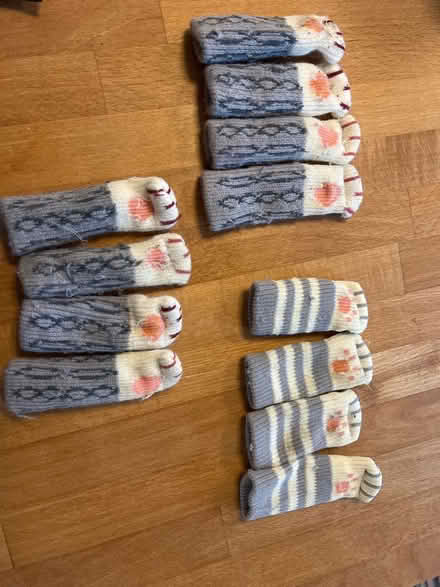 Photo of free Cat paw floor protectors (for chair feet) (Woodley RG6) #1