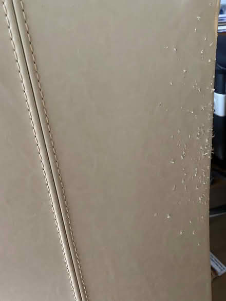Photo of free Dining chairs (Theydon Bois CM16) #3