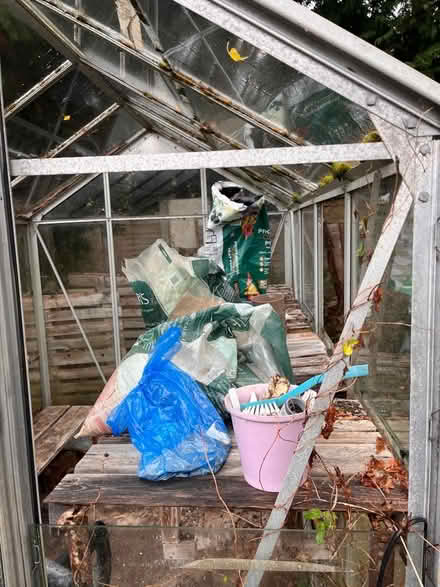 Photo of free Greenhouse (Wymondley Park SG4) #3
