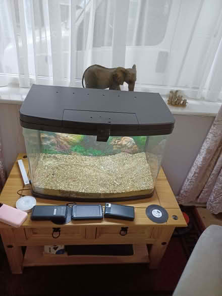 Photo of free Fish tank (Sewerby YO16) #1