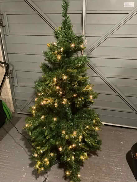 Photo of free Christmas Tree (Verwood BH31) #1
