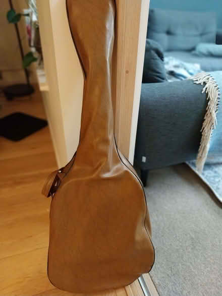 Photo of free Guitar (Surrenden BN1) #1