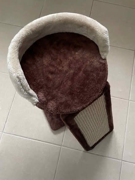 Photo of free Cat Scratching Post (Charvil RG10) #1