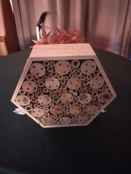 Photo of free Large bug house (Rowner PO13) #1