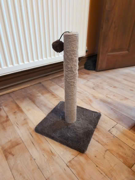 Photo of free Cat scratching post (OL7) #1