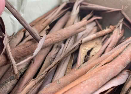 Photo of Eucalyptus strips (Radford CV6) #1