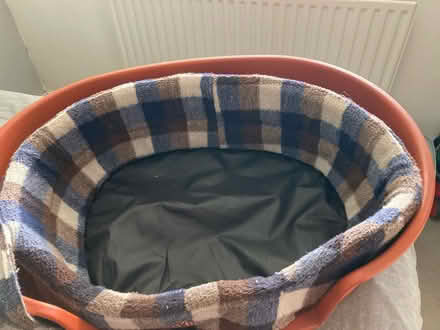Photo of free Dog bed (Beare Green RH5) #1