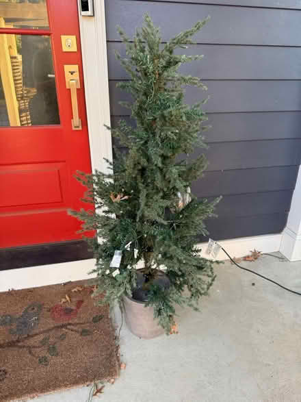 Photo of free Decorative holiday trees (Media 19063) #2