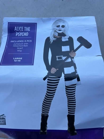 Photo of free Costume girls (Germantown/Gaithersburg) #1
