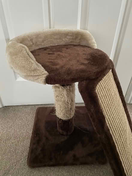 Photo of free Cat Scratching Post (Charvil RG10) #2