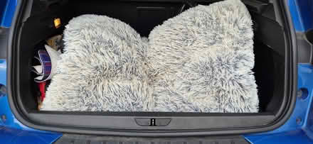 Photo of free Dog bed (Caversham RG4) #1
