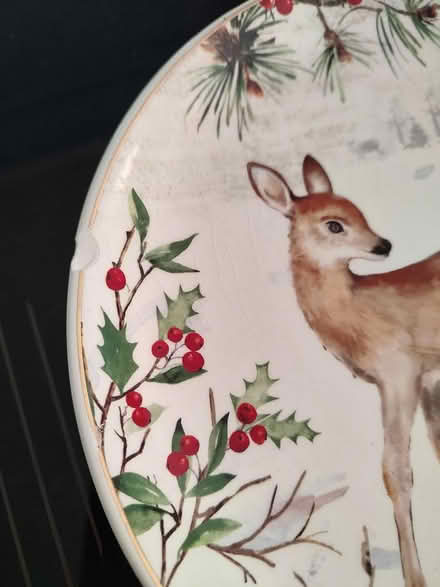 Photo of free 9" plate (Odenton) #2