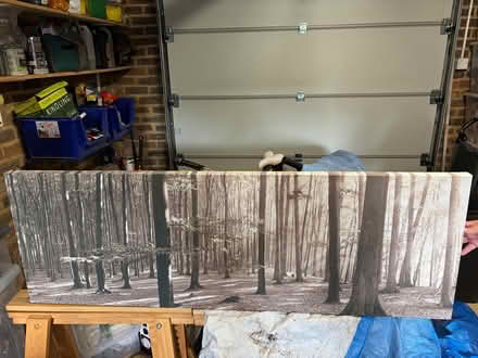 Photo of free Canvas picture (Cobham, KT11) #1