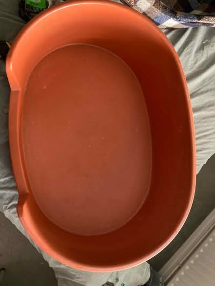 Photo of free Plastic dog bed shell (Beare Green RH5) #1