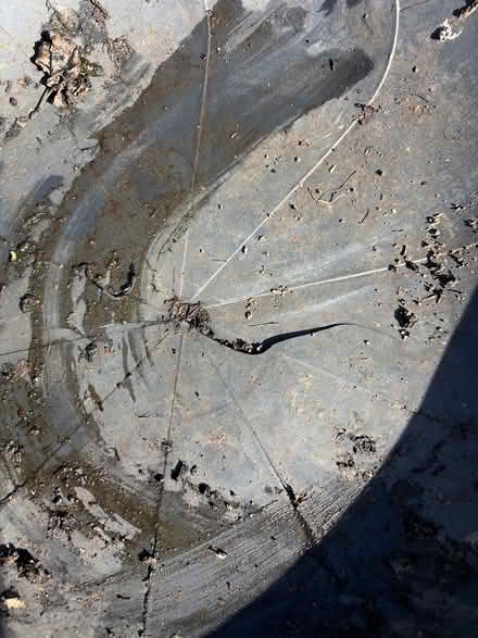 Photo of free Plastic bird bath (Shoreline) #2