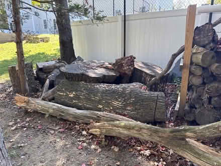Photo of free Wood (Lexington) #2