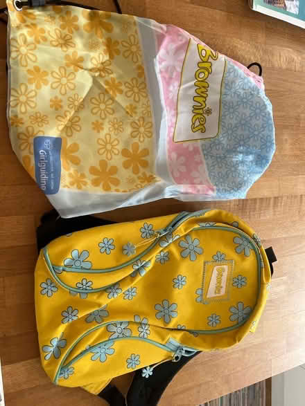 Photo of free Brownies rucksack and bag (Woodley RG6) #1