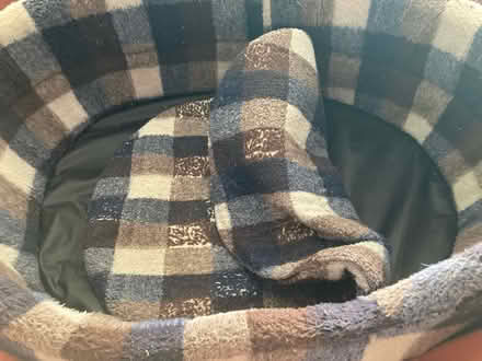 Photo of free Dog bed (Beare Green RH5) #2