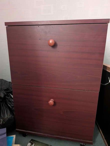 Photo of free Filing cabinet (Royal Standard SE7) #1
