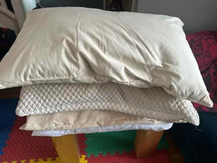 Photo of free Four pillows (Hampton TW12) #1