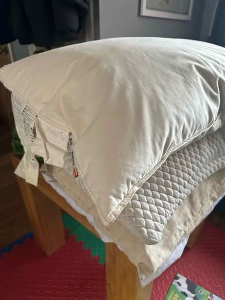 Photo of free Four pillows (Hampton TW12) #2