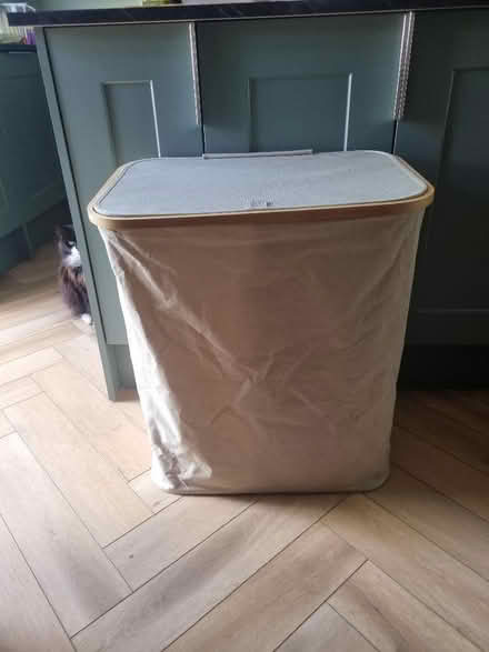 Photo of free Laundry basket (Coldean BN1) #1