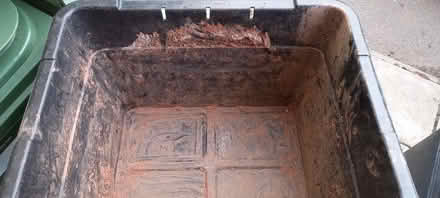 Photo of free Black recycling bucket (Starcross EX6) #2