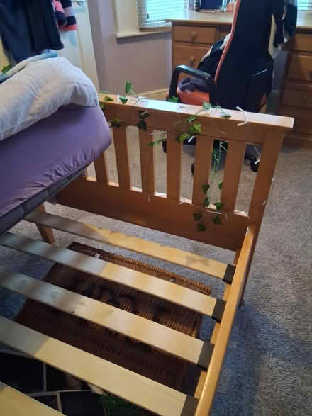 Photo of free Single bed with or without mattress (Fishponds BS16) #3